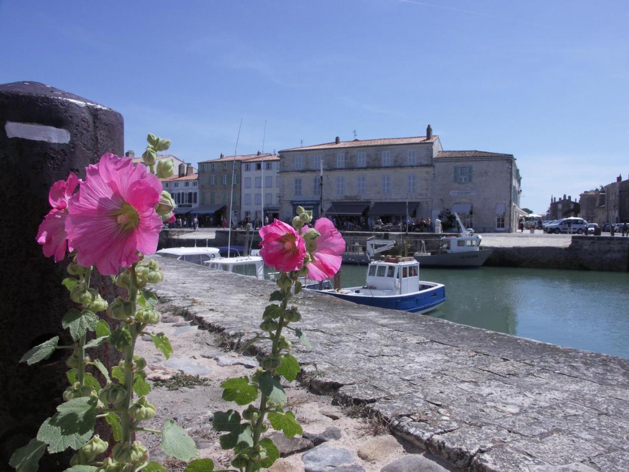 Maison Santoline Saint-Martin-de-Ré Dış mekan fotoğraf